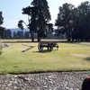 Mark Selleck - @mark.selleck - TikTok