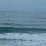 @markselmer88 - Instagram