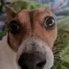 markusankesender - @markusankesender - TikTok