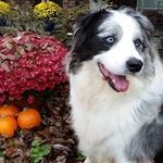 Mark Senn - @sccicorp - Instagram
