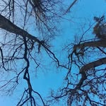 Mark Serenok - @mark.serenok - Instagram