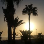 Mark Sergeant - @mark.sergeant.3348 - Instagram