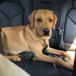 Mark Sergeant - @sergeant856 - Instagram