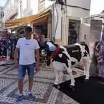 Mark Sergeant - @sargy403 - Instagram