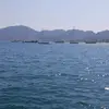 Mark sergeant - @mark.sergeant7 - TikTok