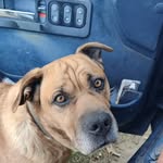 Mark Settles - @tennwookie - Instagram