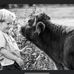Mark Sewell - Facebook