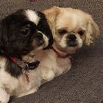 Mark Sewell - @mark.sewell.58 - Instagram