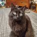 Mark Schoeneberger - Facebook