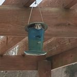 Mark Shattuck - @shattuck9499 - Instagram