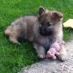 Mark Shearing - @mark.shearing.756 - Instagram