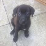 Mark Shepard - @markshepard59 - Instagram