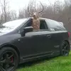 markshepard695 - @markshepard695 - TikTok