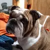 markshepherd1972yahoocom - @markshepherd1972y - TikTok