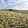 Mark Sherer - @mark.sherer - TikTok