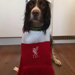Mark Shiels - @mshiels69 - Instagram