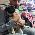 Mark Shiels - @mark.shiels.771 - Instagram
