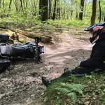 Mark Shiels - @markshiels - Instagram
