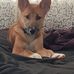 Mark Shiels - Facebook