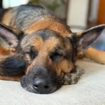 Mark Shoemaker - @shoemaker7728 - Instagram