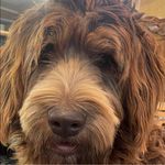 Mark Shoemaker - @markshoemaker - Instagram