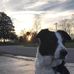Mark Shoffner - Facebook