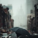 markshoffnera - @markshoffnera - Instagram