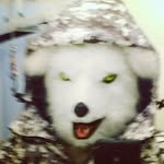 Mark Shorey - @gaiastraveller - Instagram