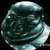 markusshorter - @markusshorter - TikTok