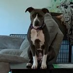 Mark Shotwell - @tahoemarkook - Instagram