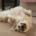 Mark Shotwell - @mtshotwell - Instagram