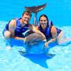 Mark Shuler - @mark.shuler - TikTok