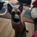 Mark Shuler - @mowshot011 - Instagram
