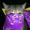 abobusik23 - @mark_sidorov0 - TikTok