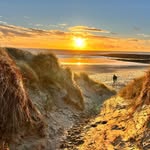 Mark Sidwell - @msidz1 - Instagram