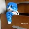Doraemon - @mark.siebenlist - TikTok