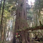 Mark Siemens - @seniormarkus - Instagram