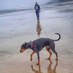 Mark Siemens - @msiemens69 - Instagram