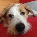 MarkSiemens - @markswpg - Instagram