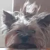 mareksieracki4 - @marek.sieracki1 - TikTok