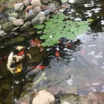 Mark Bonsignore - @markbonsignore - Instagram