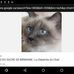 Mark Simard - Facebook