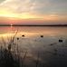 Mark Simington - Facebook
