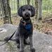 Mark Simms - Facebook