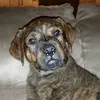 Markus Simonsen - @markus.s_ - TikTok