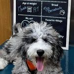 Mark Sinkiewicz - @mark.sinkiewicz - Instagram