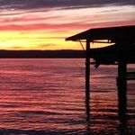 Mark Sinkiewicz - @marksinkiewicz - Instagram