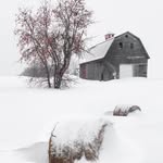 Mark Sirois - @m.sirois779 - Instagram
