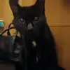 Mark_Sosiska - @temshik0tboga - TikTok