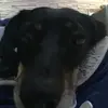 siskamark7 - @siskamark7 - TikTok